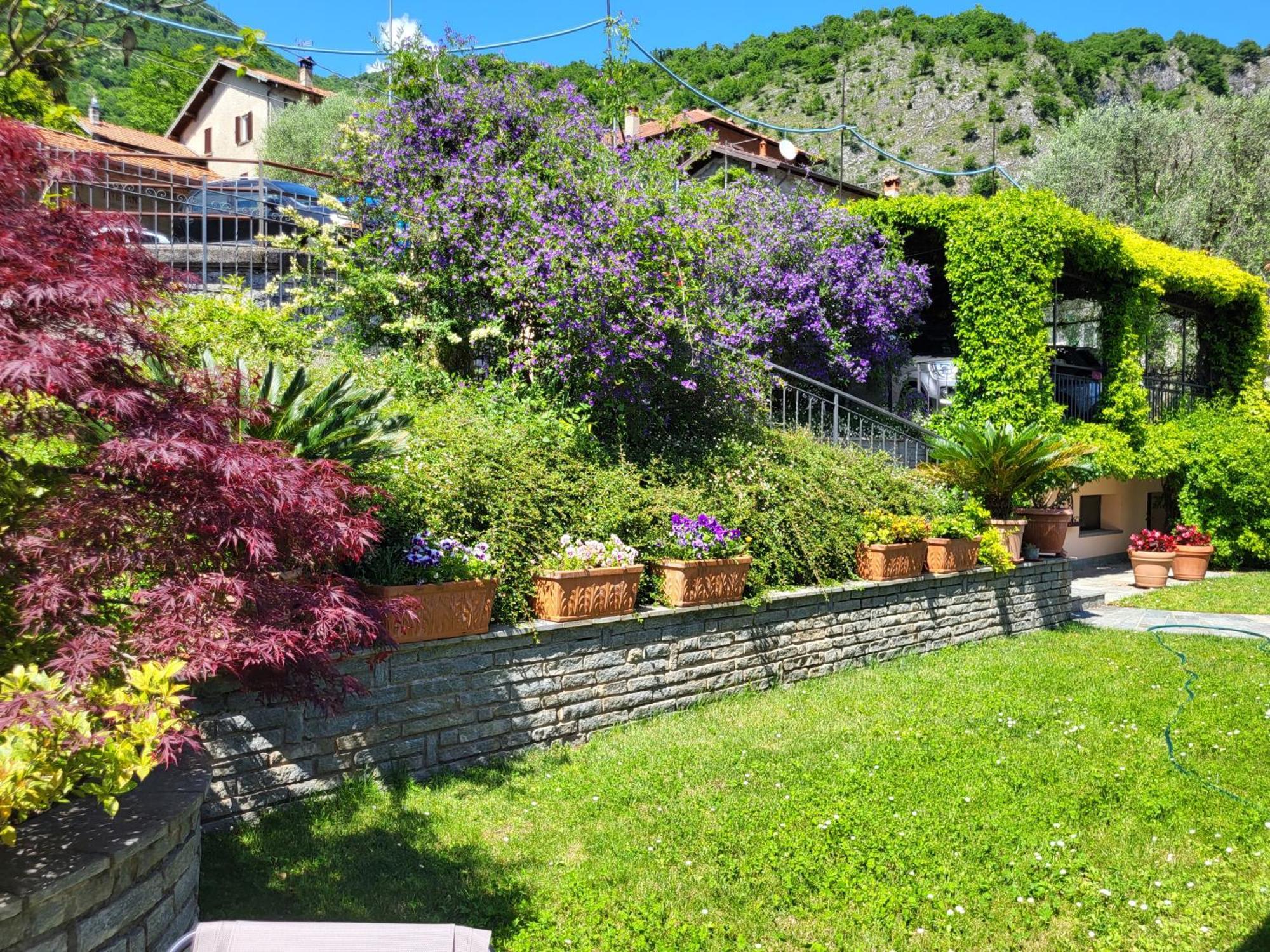 Casa Intignano - Appartamento Con Terrazzo Vista Lago Tremezzo Exteriér fotografie