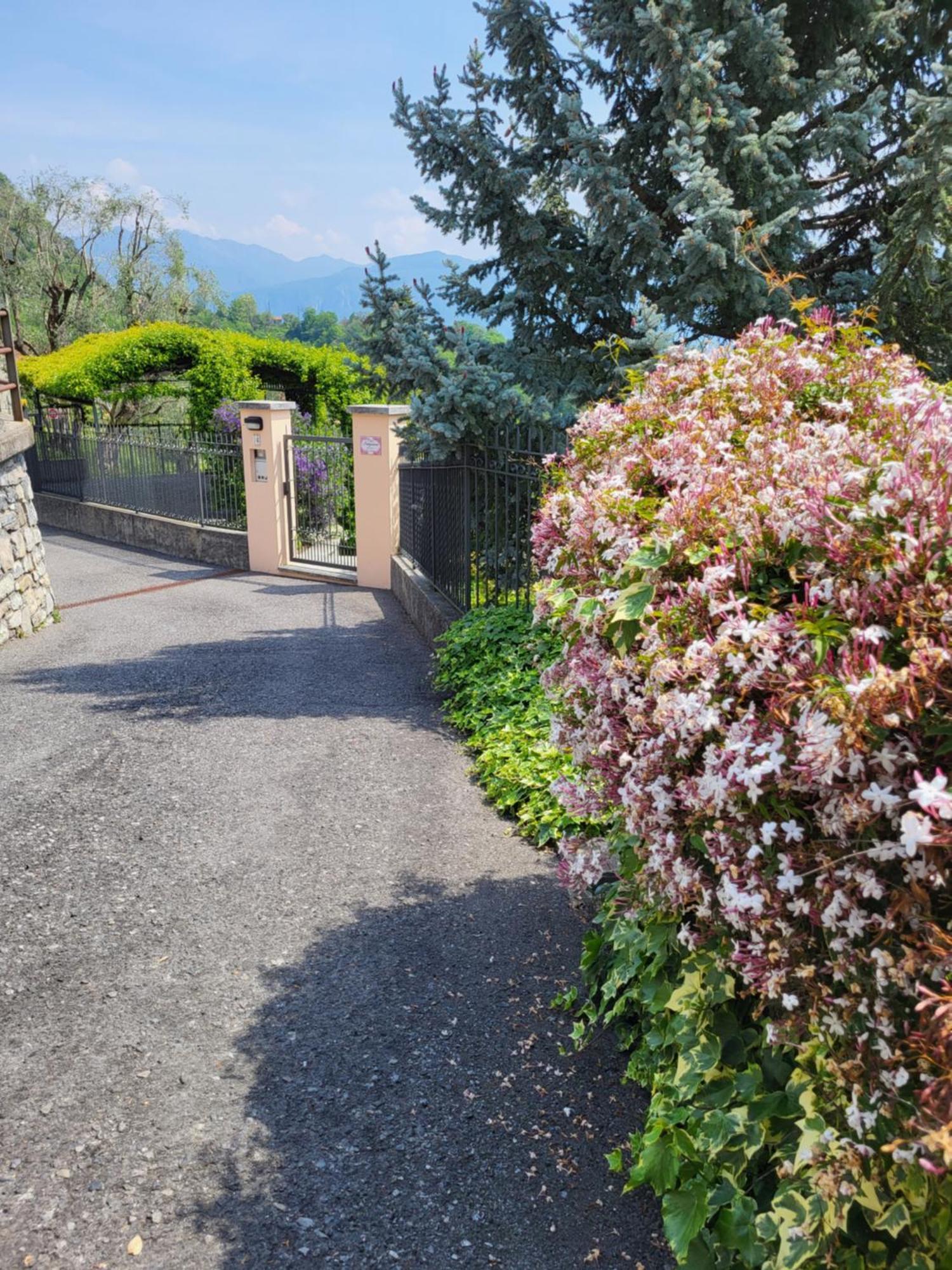 Casa Intignano - Appartamento Con Terrazzo Vista Lago Tremezzo Exteriér fotografie